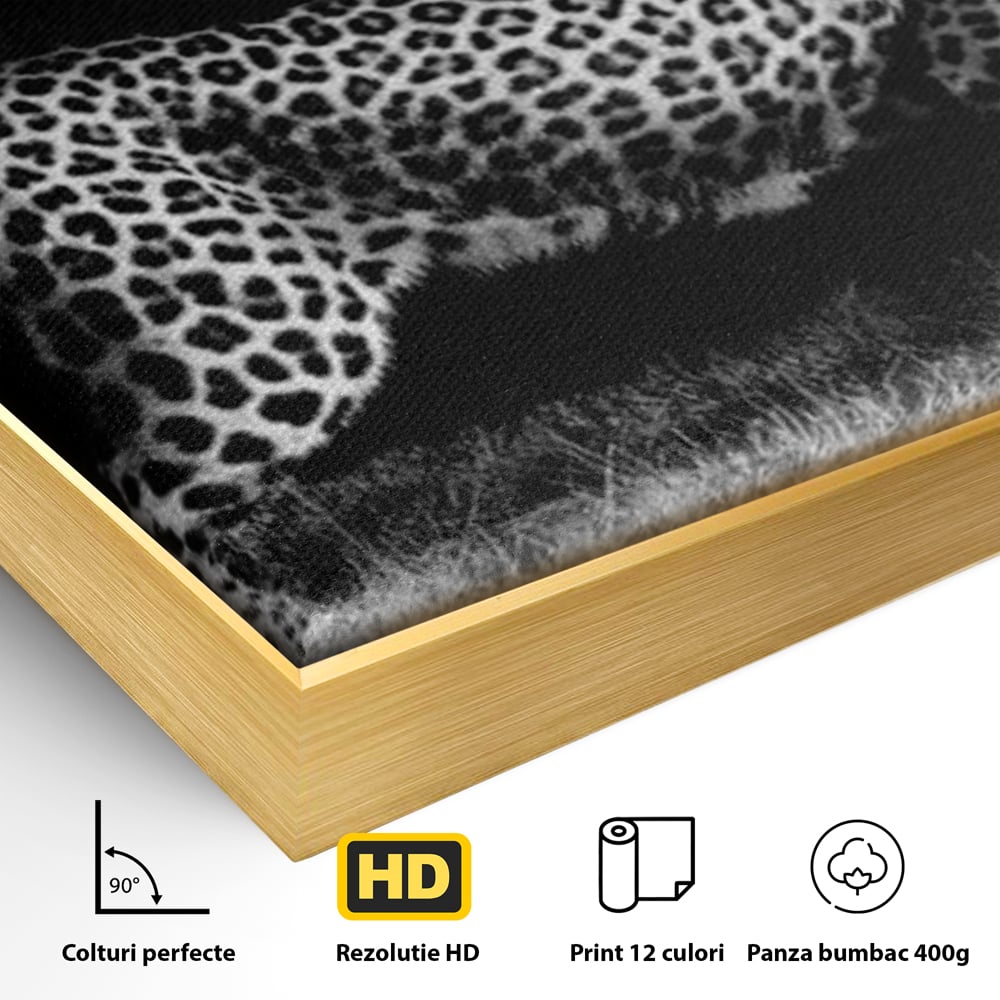 Detaliu al suprafetei: tablou canvas cu jaguar nocturn, in rama de aluminiu auriu