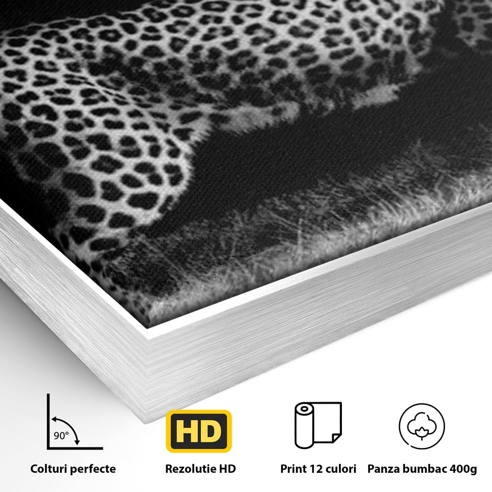 Detaliu al suprafetei: tablou canvas cu jaguar nocturn, in rama de aluminiu argintiu