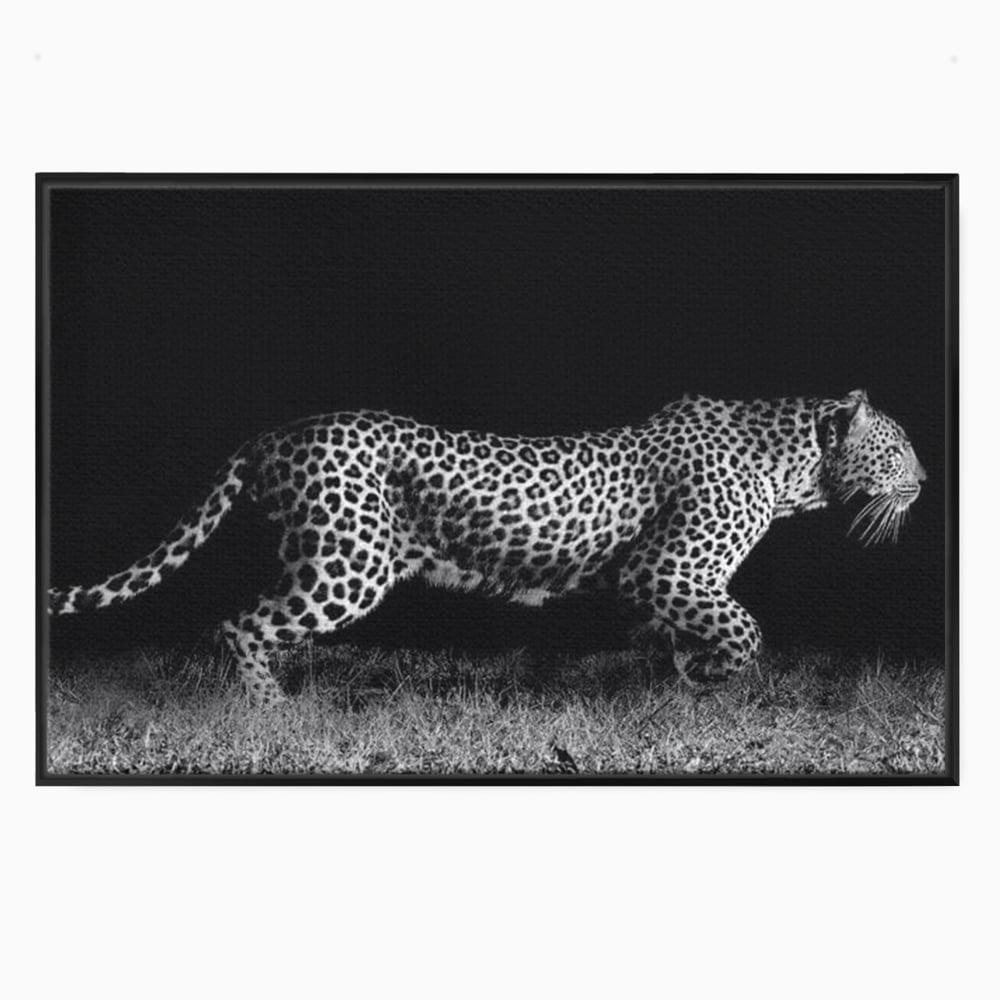 Tablou canvas cu tablou canvas cu jaguar nocturn, in rama de aluminiu negru
