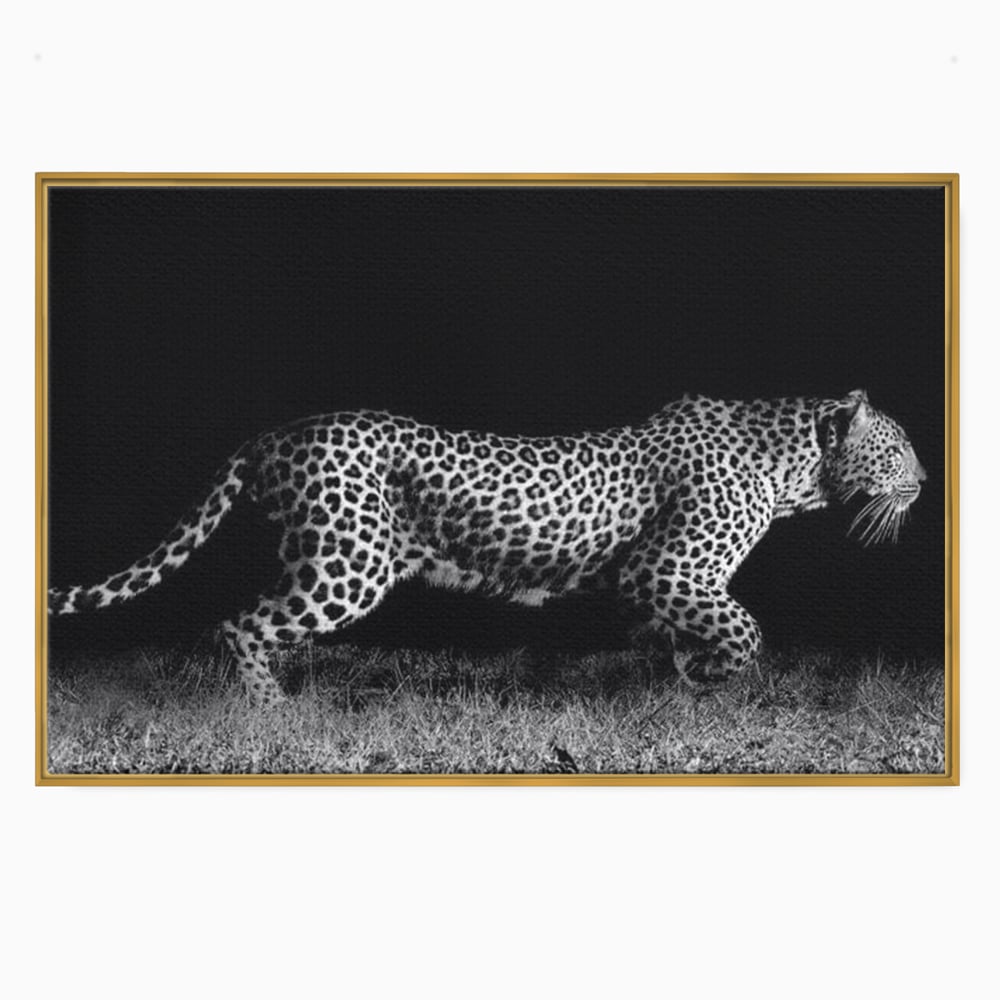 Tablou canvas cu tablou canvas cu jaguar nocturn, in rama de aluminiu auriu