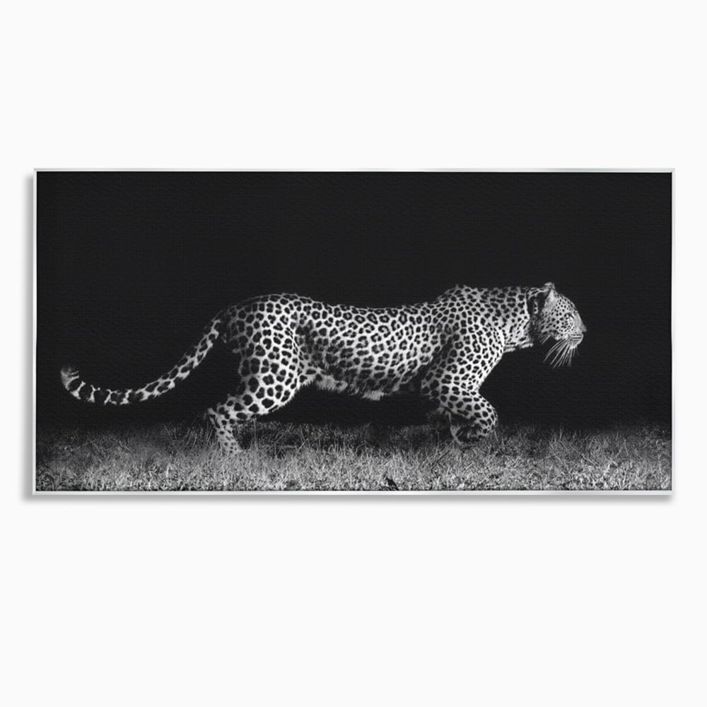 Tablou canvas cu tablou canvas cu jaguar nocturn, in rama de aluminiu argintiu