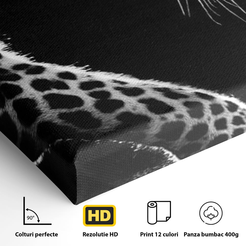 Detaliu al suprafetei: tablou canvas cu leopard in profil, fara rama, pe sasiu de lemn
