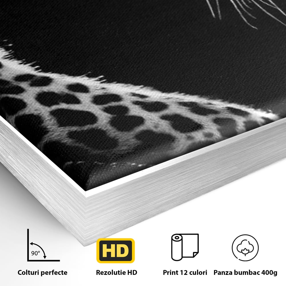 Detaliu al suprafetei: tablou canvas cu leopard in profil, in rama de aluminiu argintiu