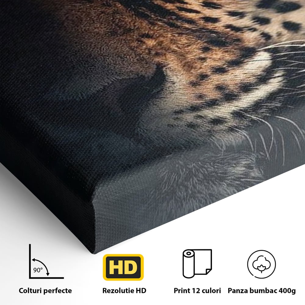 Detaliu al suprafetei: tablou canvas cu ochiul de jaguar, fara rama, pe sasiu de lemn