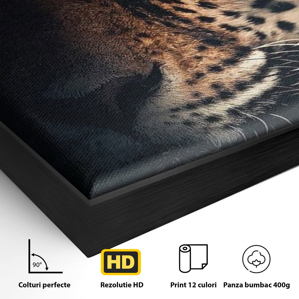 Detaliu al suprafetei: tablou canvas cu ochiul de jaguar, in rama de aluminiu negru