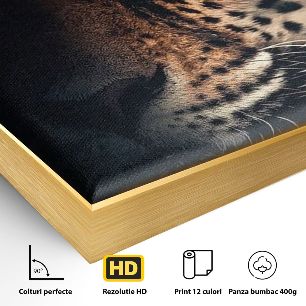 Detaliu al suprafetei: tablou canvas cu ochiul de jaguar, in rama de aluminiu auriu