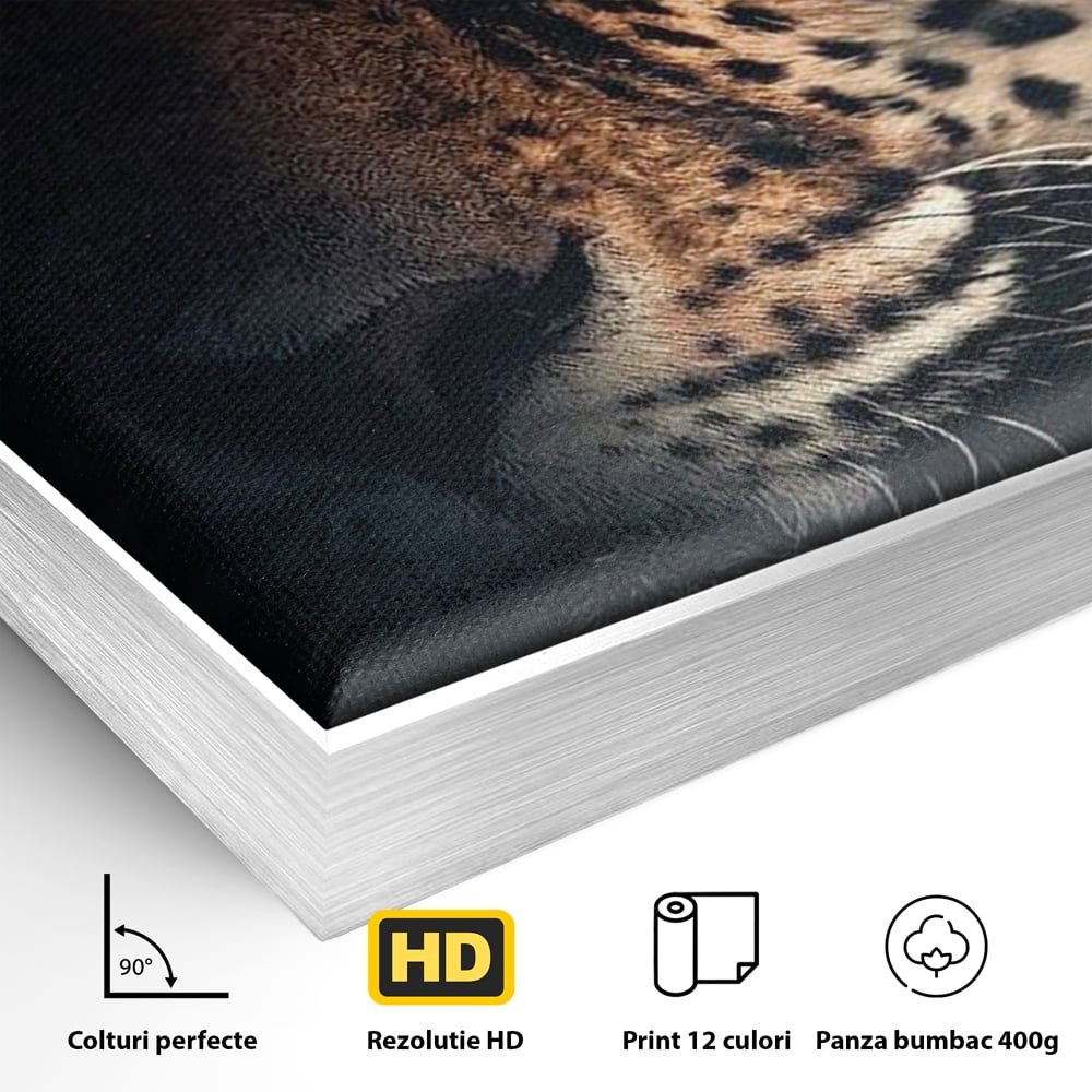 Detaliu al suprafetei: tablou canvas cu ochiul de jaguar, in rama de aluminiu argintiu