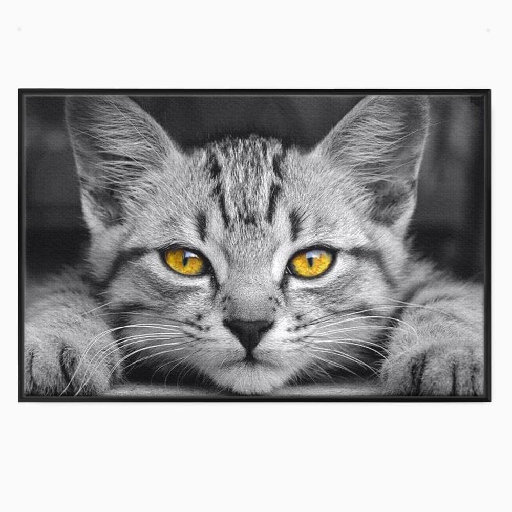 Tablou canvas cu tablou canvas cu o pisica alb-negru si ochi galbeni, in rama de aluminiu negru