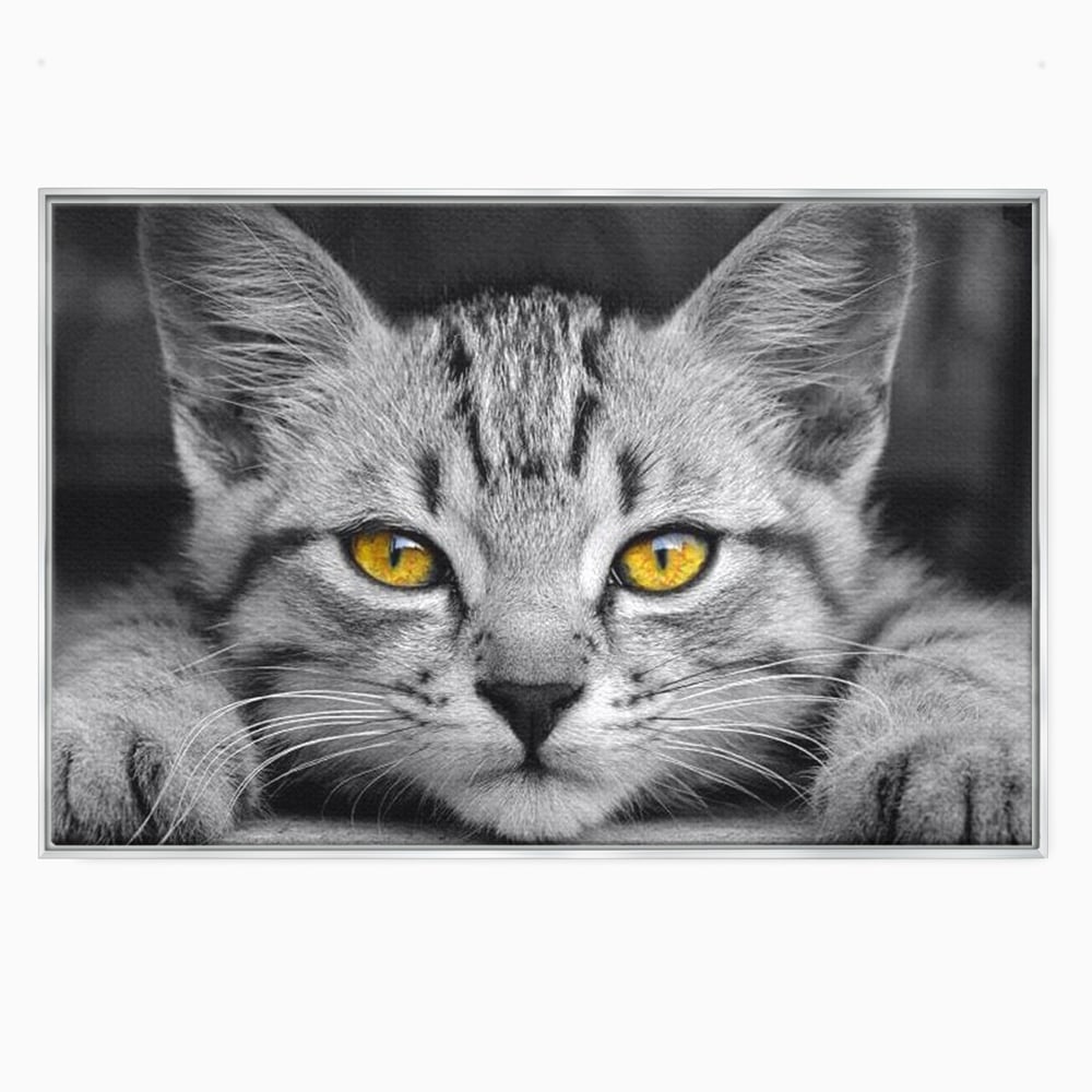 Tablou canvas cu tablou canvas cu o pisica alb-negru si ochi galbeni, in rama de aluminiu argintiu