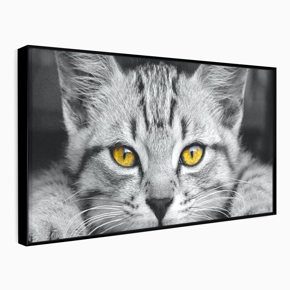 Tablou canvas cu tablou canvas cu o pisica alb-negru si ochi galbeni, in rama de aluminiu negru