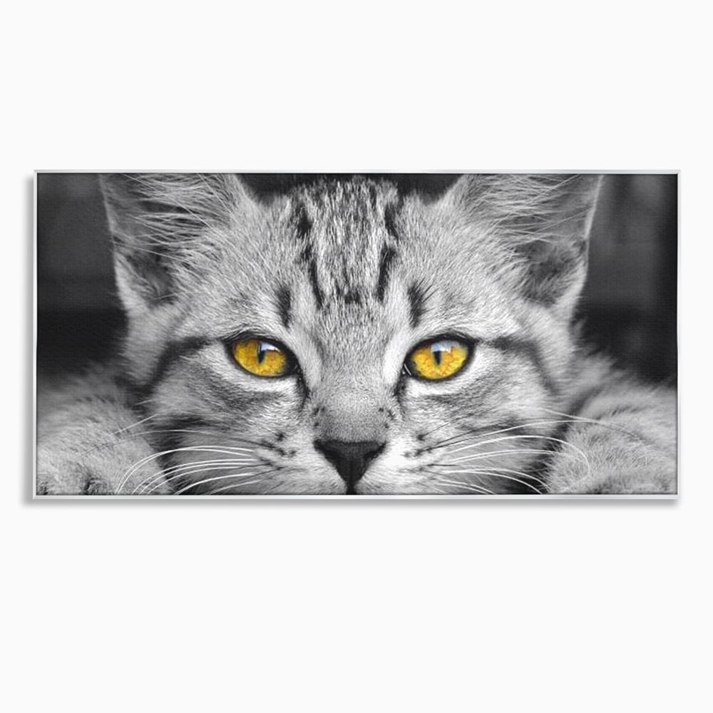 Tablou canvas cu tablou canvas cu o pisica alb-negru si ochi galbeni, in rama de aluminiu argintiu
