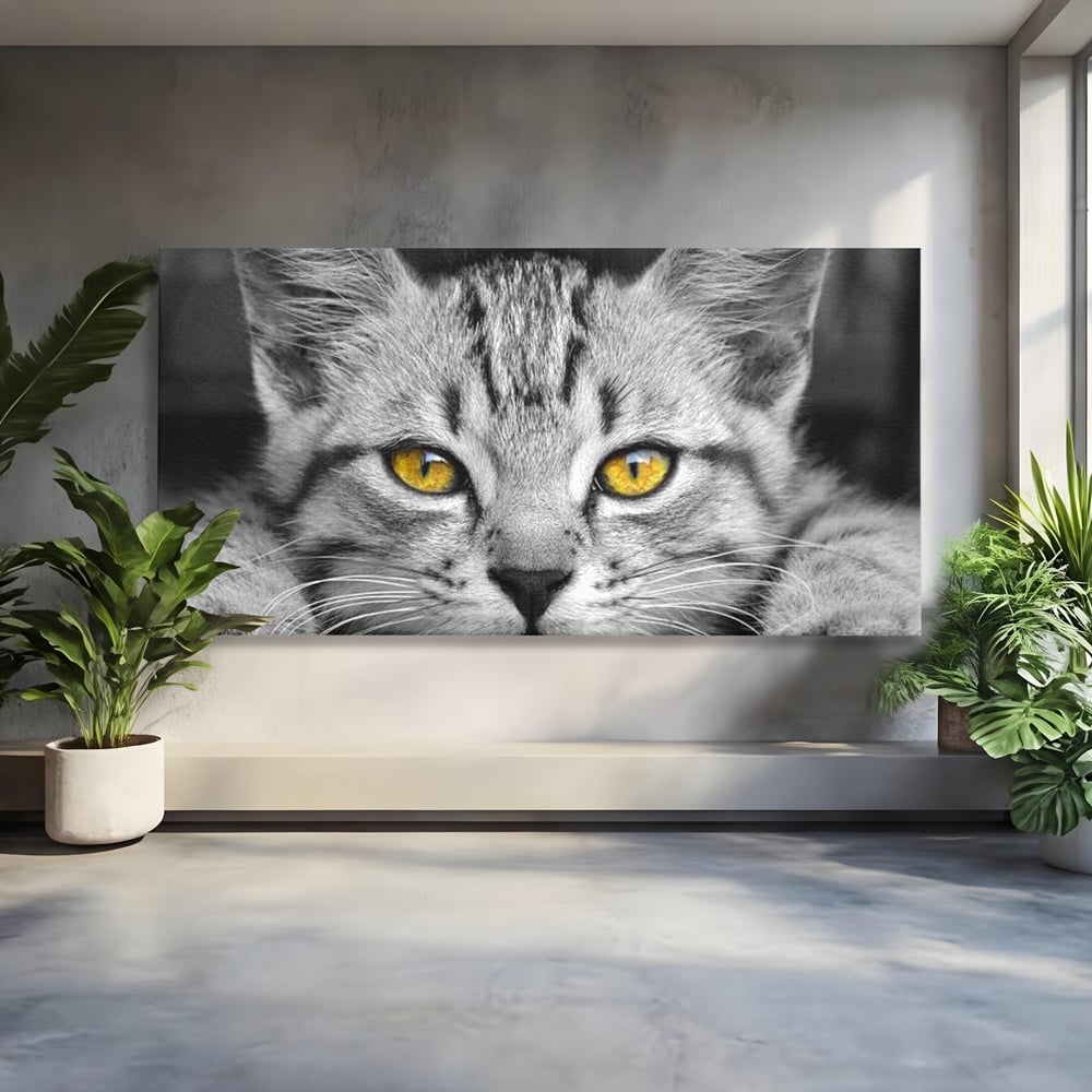 Tablou canvas cu tablou canvas cu o pisica alb-negru si ochi galbeni, fara rama, pe sasiu de lemn