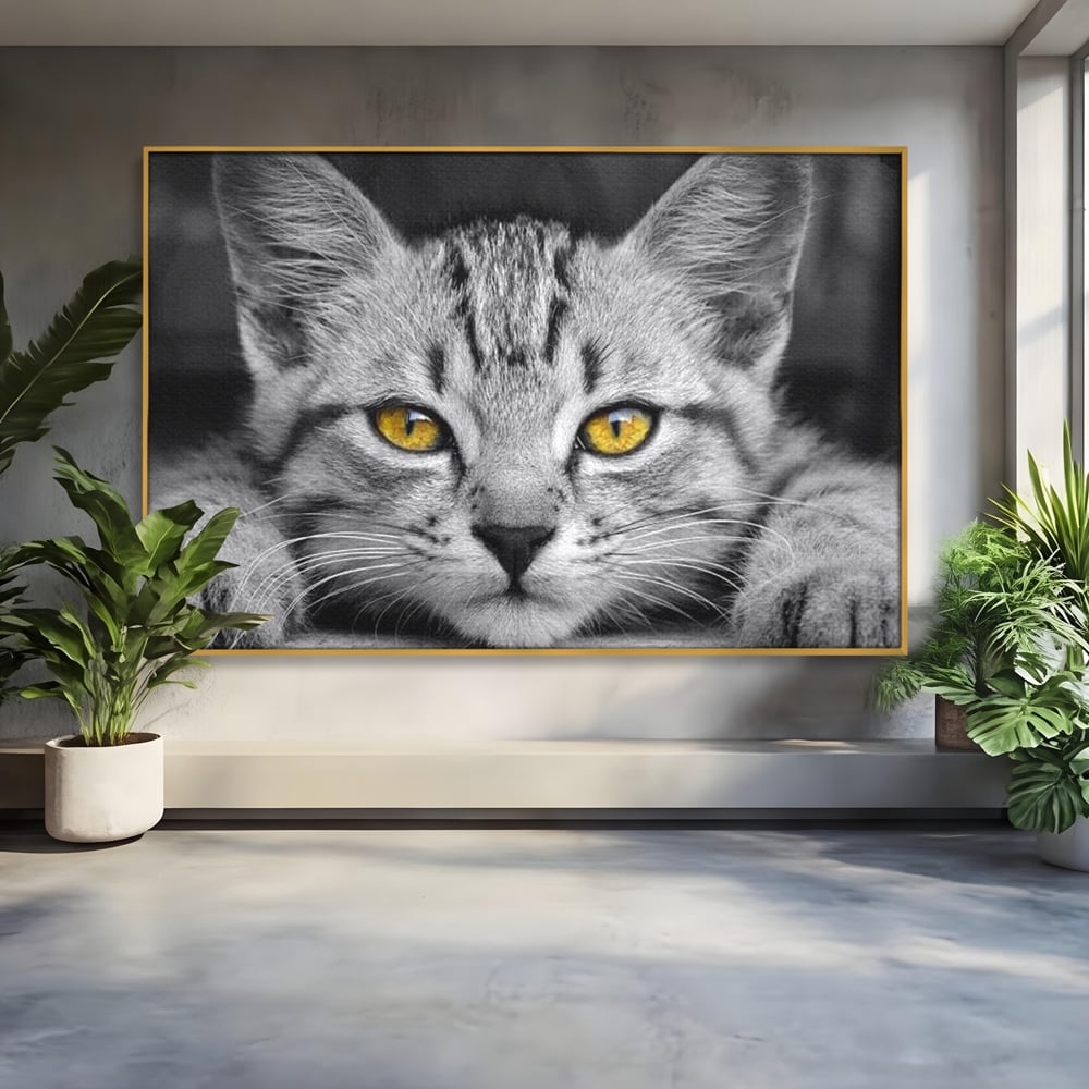 Tablou canvas cu tablou canvas cu o pisica alb-negru si ochi galbeni, in rama de aluminiu auriu