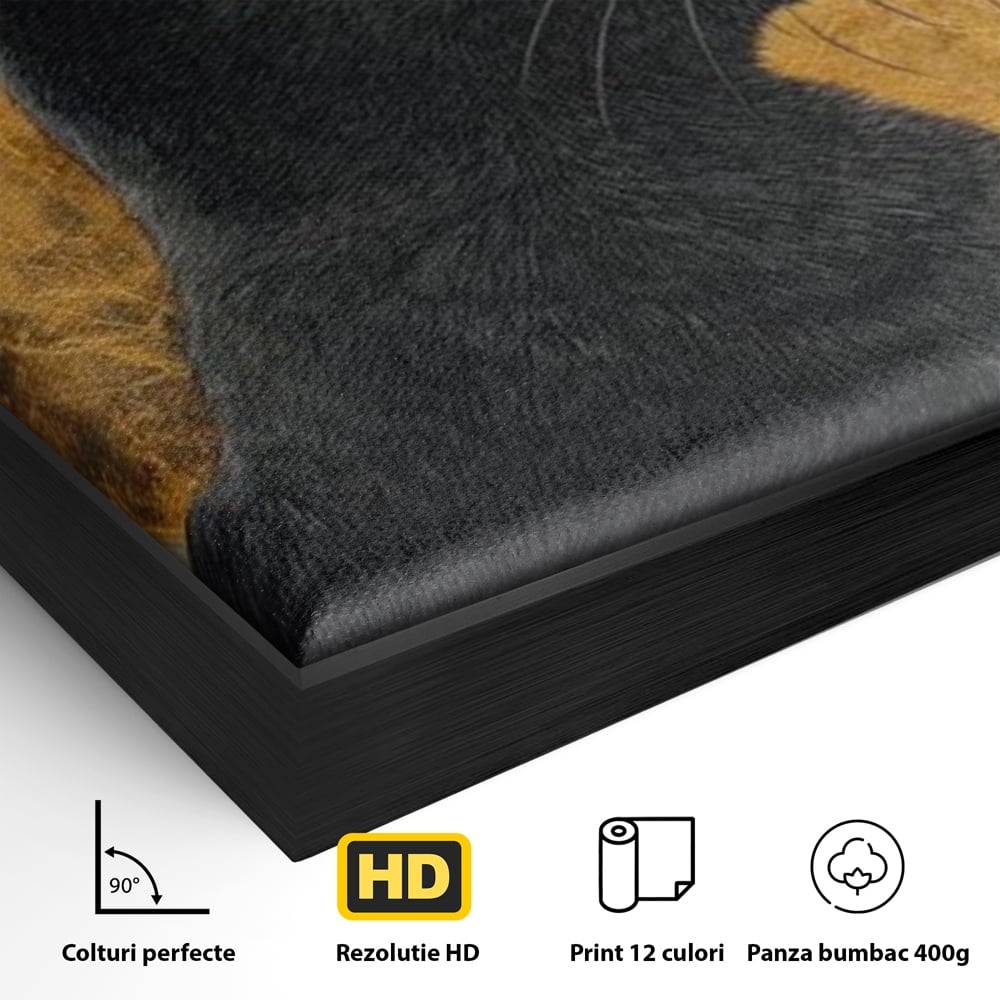 Detaliu al suprafetei: tablou canvas cu pisica neagra si luna, in rama de aluminiu negru