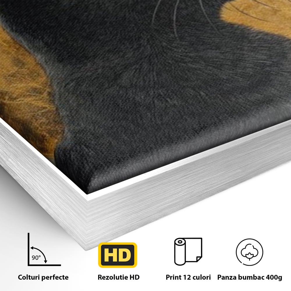 Detaliu al suprafetei: tablou canvas cu pisica neagra si luna, in rama de aluminiu argintiu