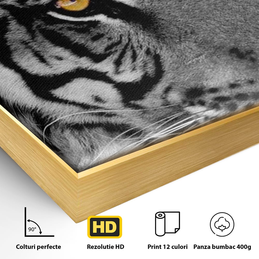 Detaliu al suprafetei: tablou canvas cu tigru alb-negru, in rama de aluminiu auriu