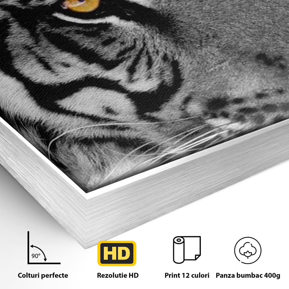Detaliu al suprafetei: tablou canvas cu tigru alb-negru, in rama de aluminiu argintiu
