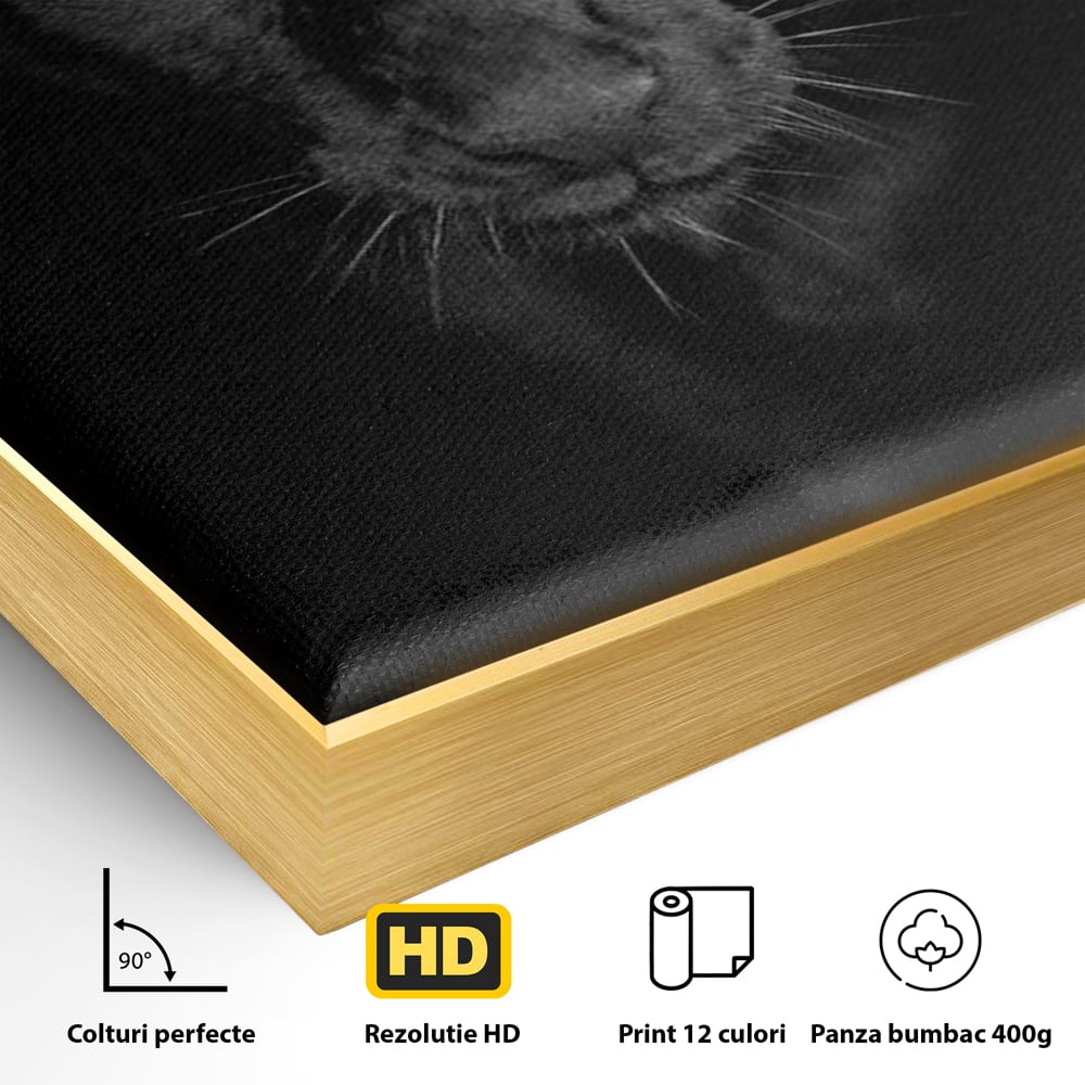 Detaliu al suprafetei: tablou canvas cu pantera neagra, in rama de aluminiu auriu