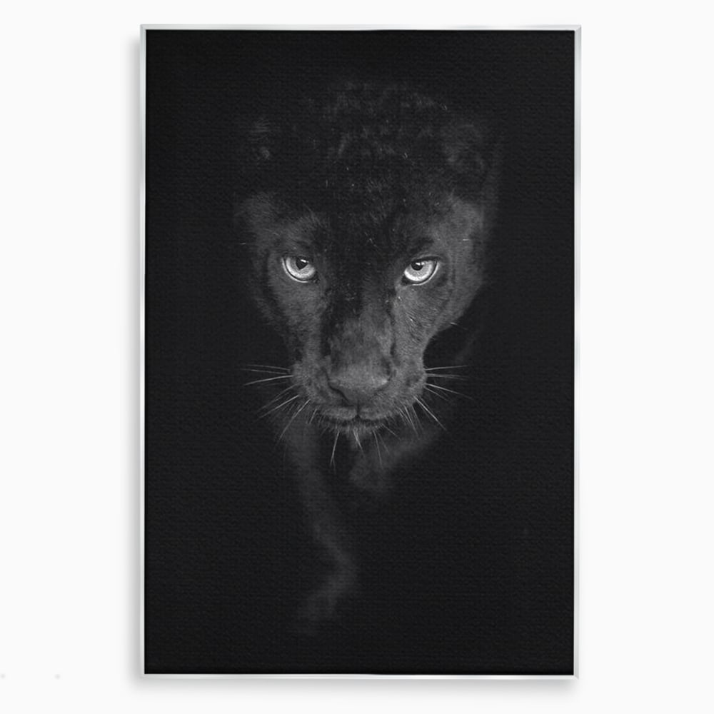 Tablou canvas cu tablou canvas cu pantera neagra, in rama de aluminiu argintiu