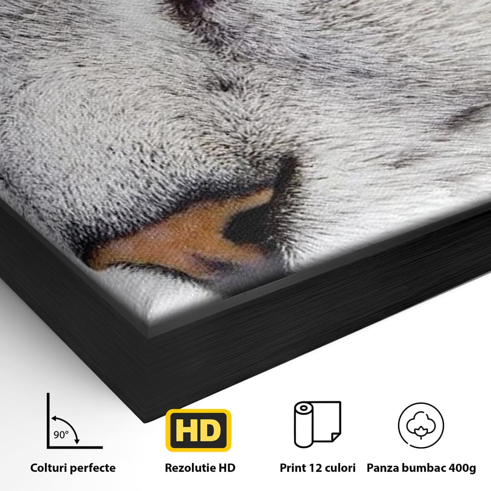 Detaliu al suprafetei: tablou canvas cu ochi de pisica, in rama de aluminiu negru