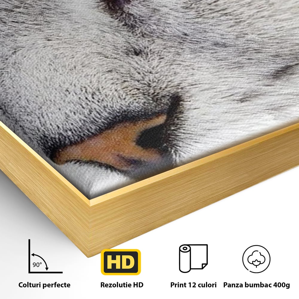 Detaliu al suprafetei: tablou canvas cu ochi de pisica, in rama de aluminiu auriu