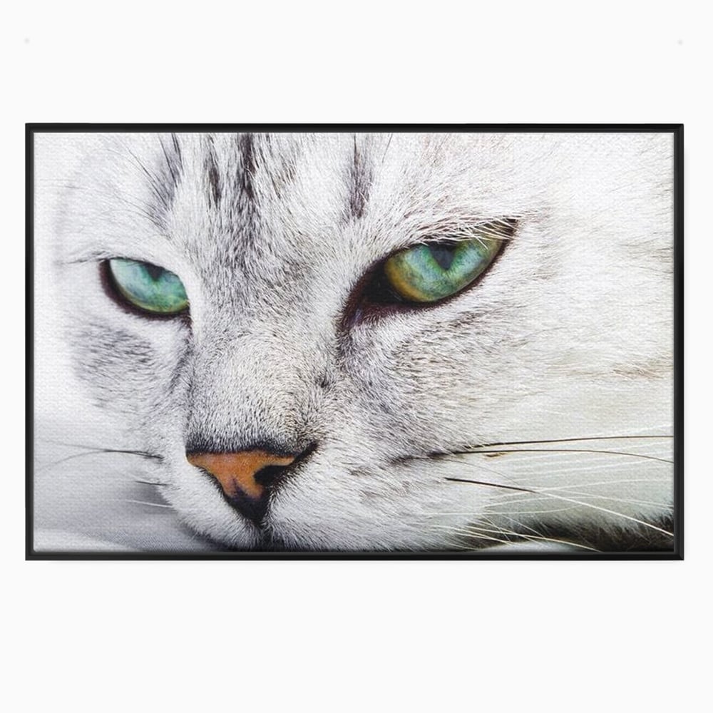 Tablou canvas cu tablou canvas cu ochi de pisica, in rama de aluminiu negru