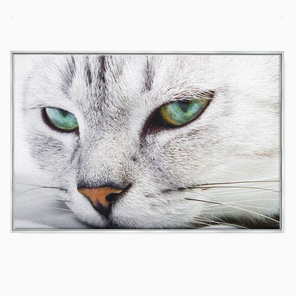 Tablou canvas cu tablou canvas cu ochi de pisica, in rama de aluminiu argintiu