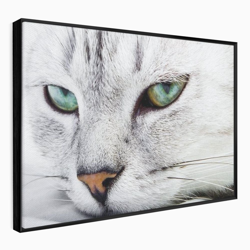 Tablou canvas cu tablou canvas cu ochi de pisica, in rama de aluminiu negru