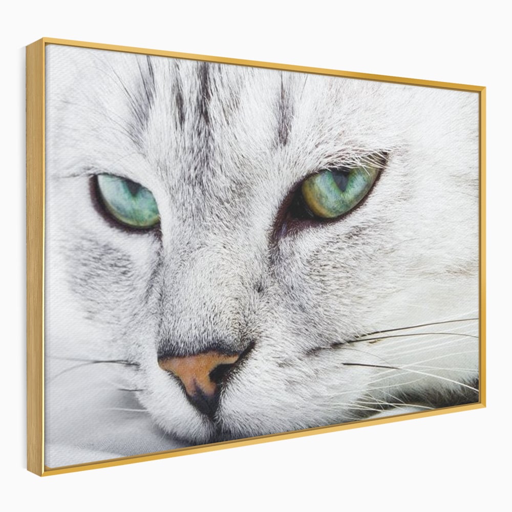 Tablou canvas cu tablou canvas cu ochi de pisica, in rama de aluminiu auriu