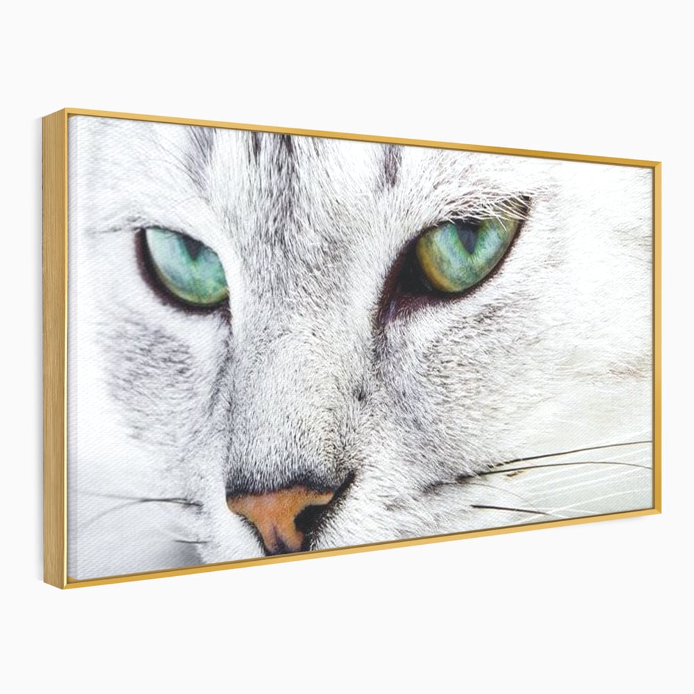 Tablou canvas cu tablou canvas cu ochi de pisica, in rama de aluminiu auriu