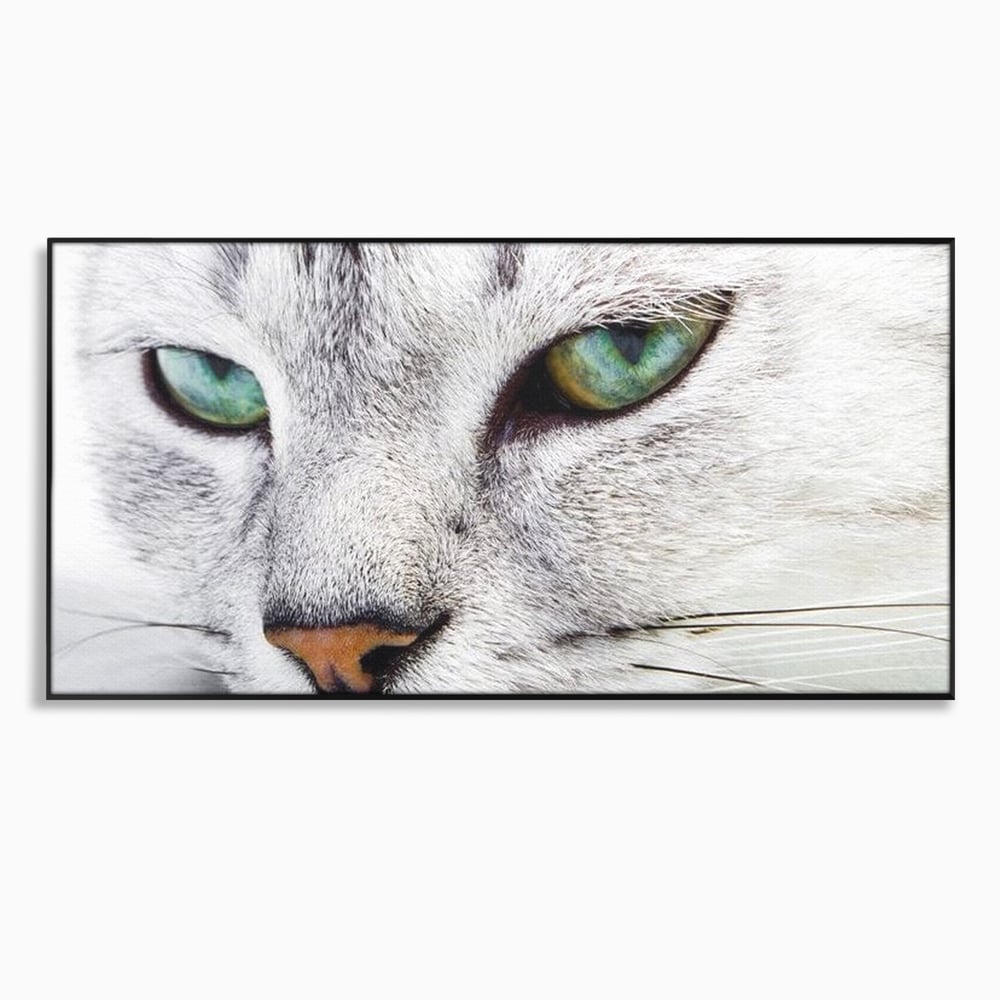 Tablou canvas cu tablou canvas cu ochi de pisica, in rama de aluminiu negru