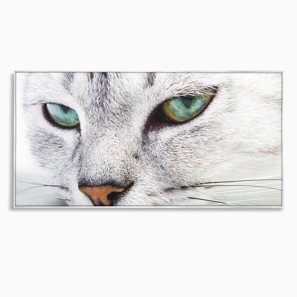 Tablou canvas cu tablou canvas cu ochi de pisica, in rama de aluminiu argintiu