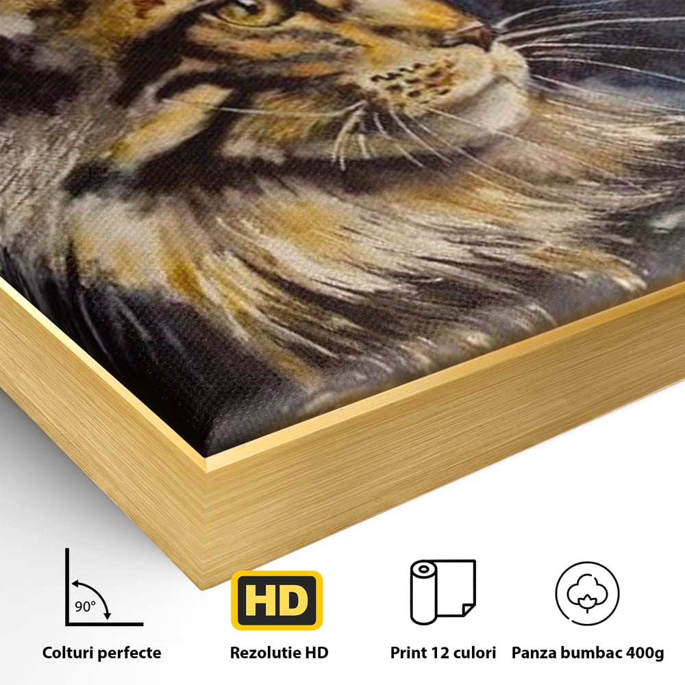 Detaliu al suprafetei: tablou canvas cu pisica in galaxie, in rama de aluminiu auriu