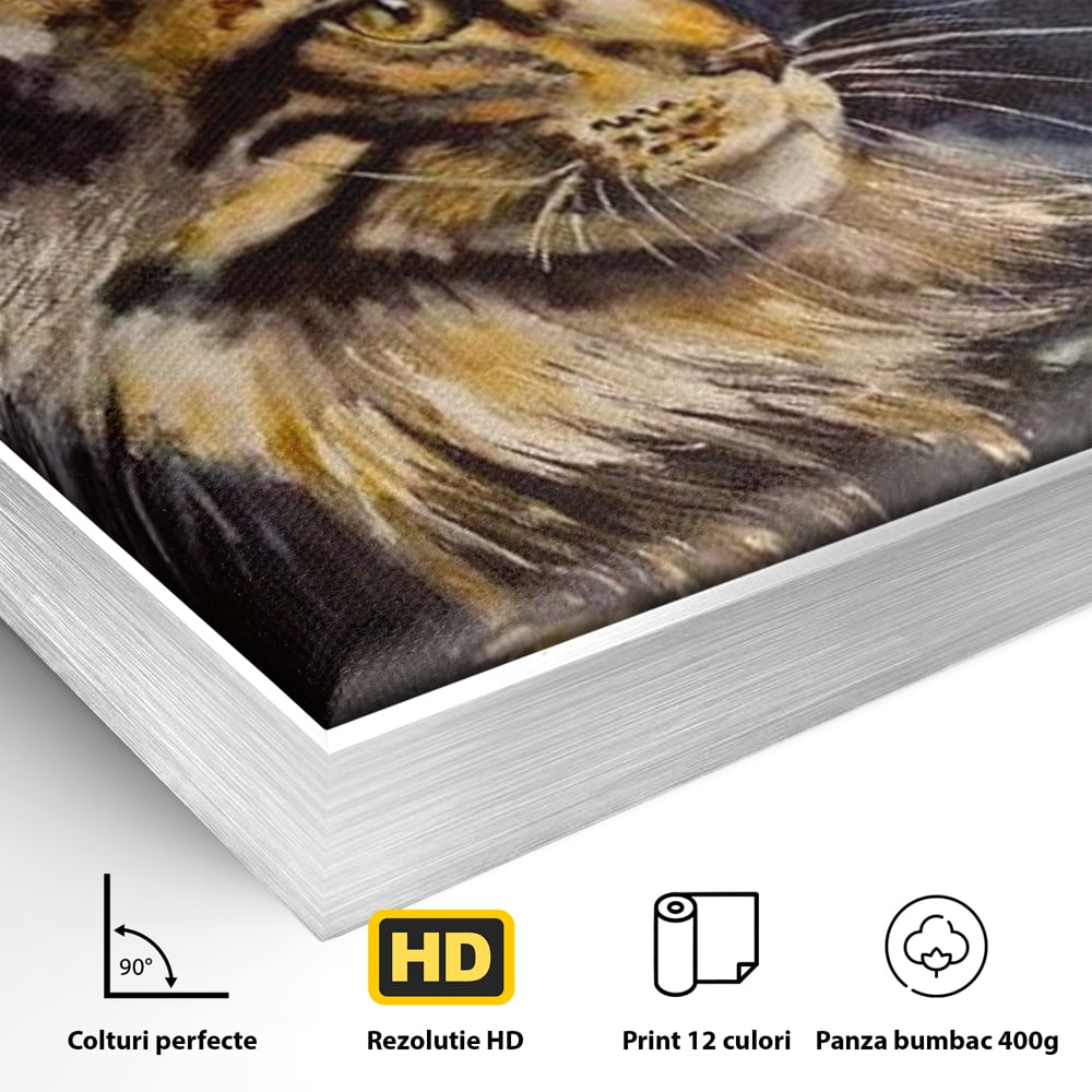 Detaliu al suprafetei: tablou canvas cu pisica in galaxie, in rama de aluminiu argintiu