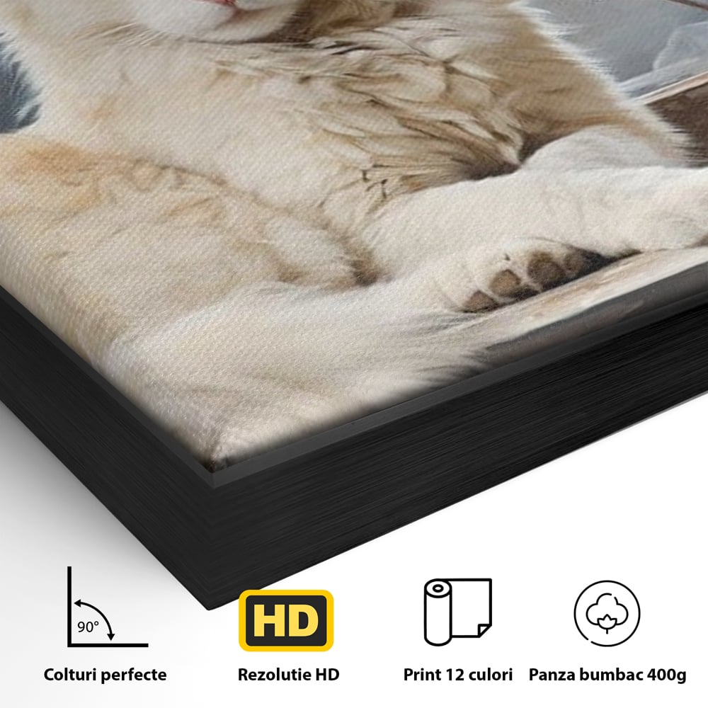 Detaliu al suprafetei: tablou canvas cu pisica alba pe fereastra, in rama de aluminiu negru