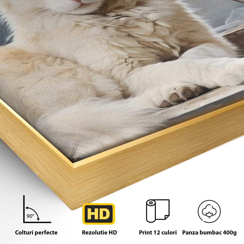 Detaliu al suprafetei: tablou canvas cu pisica alba pe fereastra, in rama de aluminiu auriu