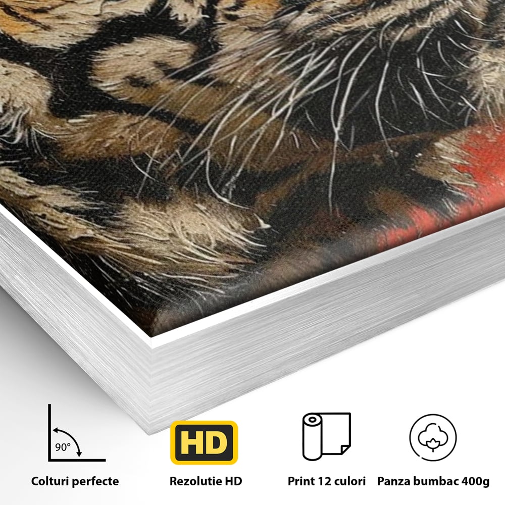 Detaliu al suprafetei: tablou canvas cu pictura de tigru, in rama de aluminiu argintiu