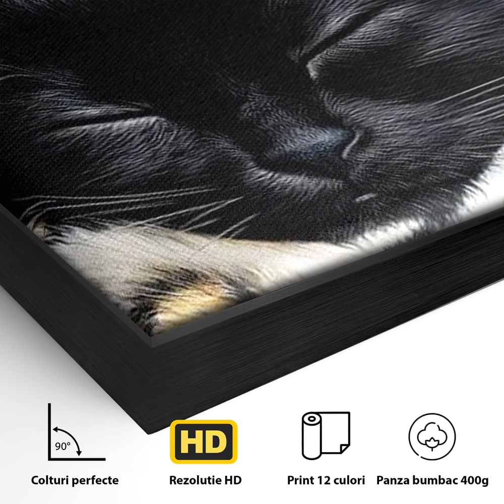 Detaliu al suprafetei: tablou canvas cu pisica neagra dormind, in rama de aluminiu negru