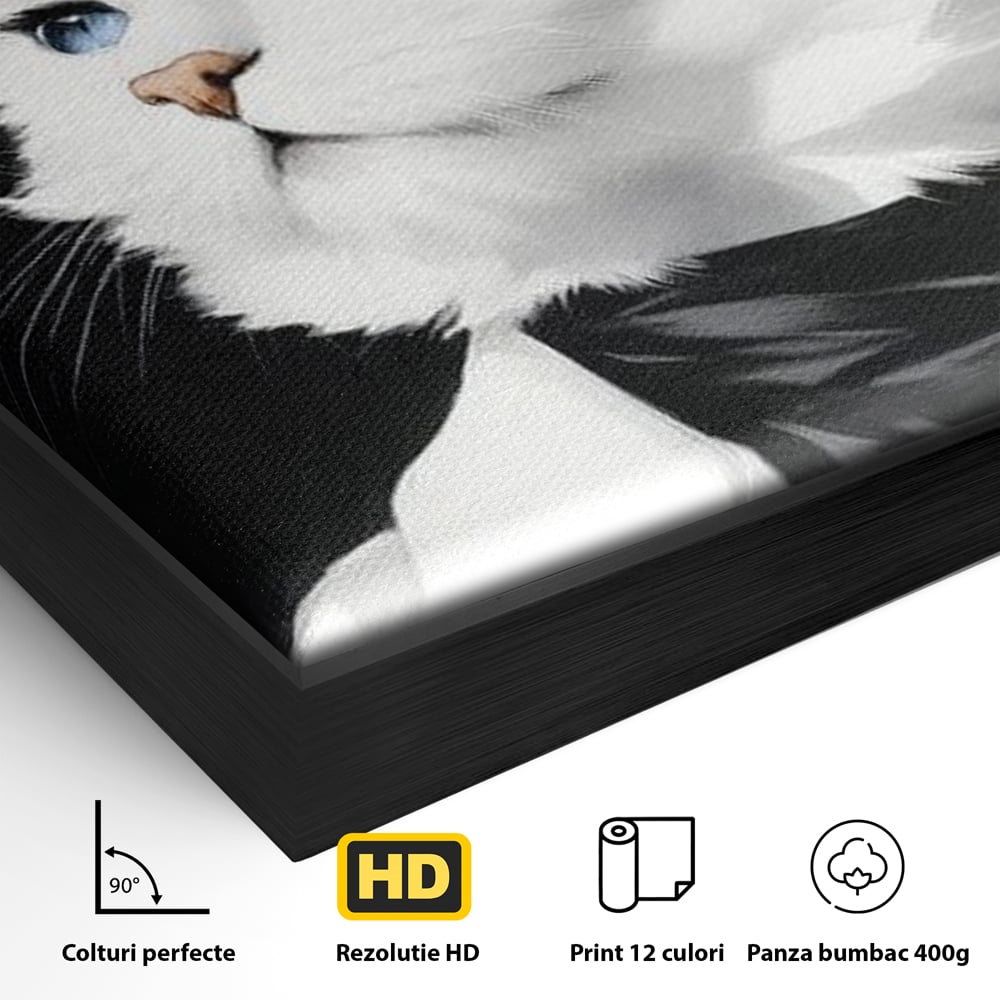 Detaliu al suprafetei: tablou canvas cu pisica aristocrata purtand palarie, in rama de aluminiu negru