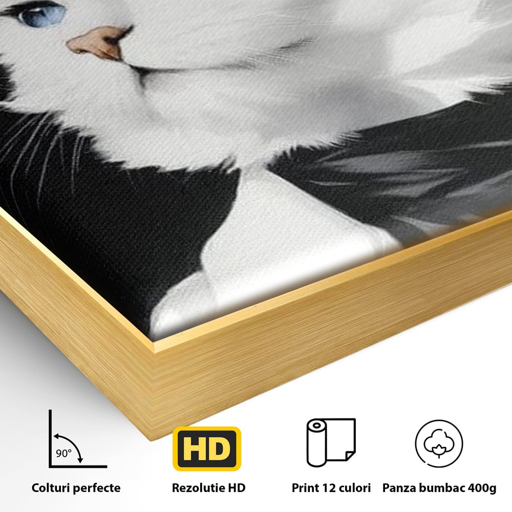 Detaliu al suprafetei: tablou canvas cu pisica aristocrata purtand palarie, in rama de aluminiu auriu