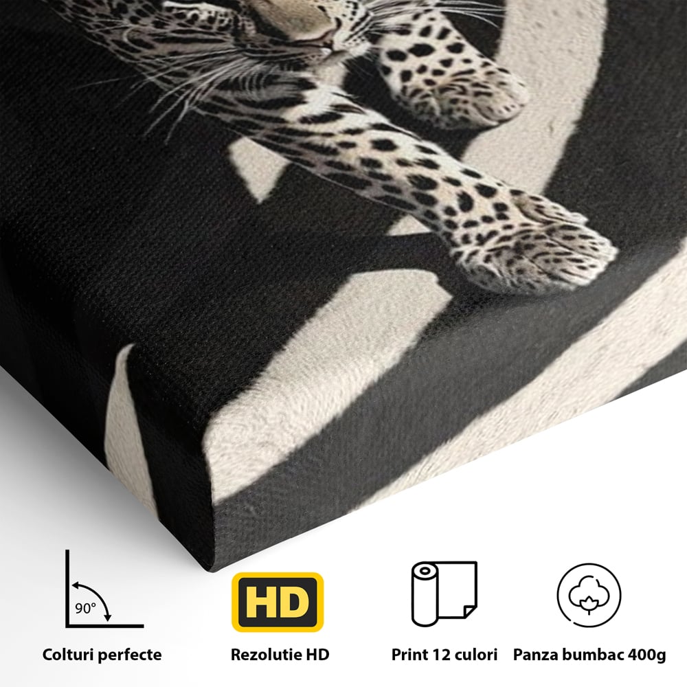 Detaliu al suprafetei: tablou canvas cu leopard pe fundal spiralat alb-negru, fara rama, pe sasiu de lemn