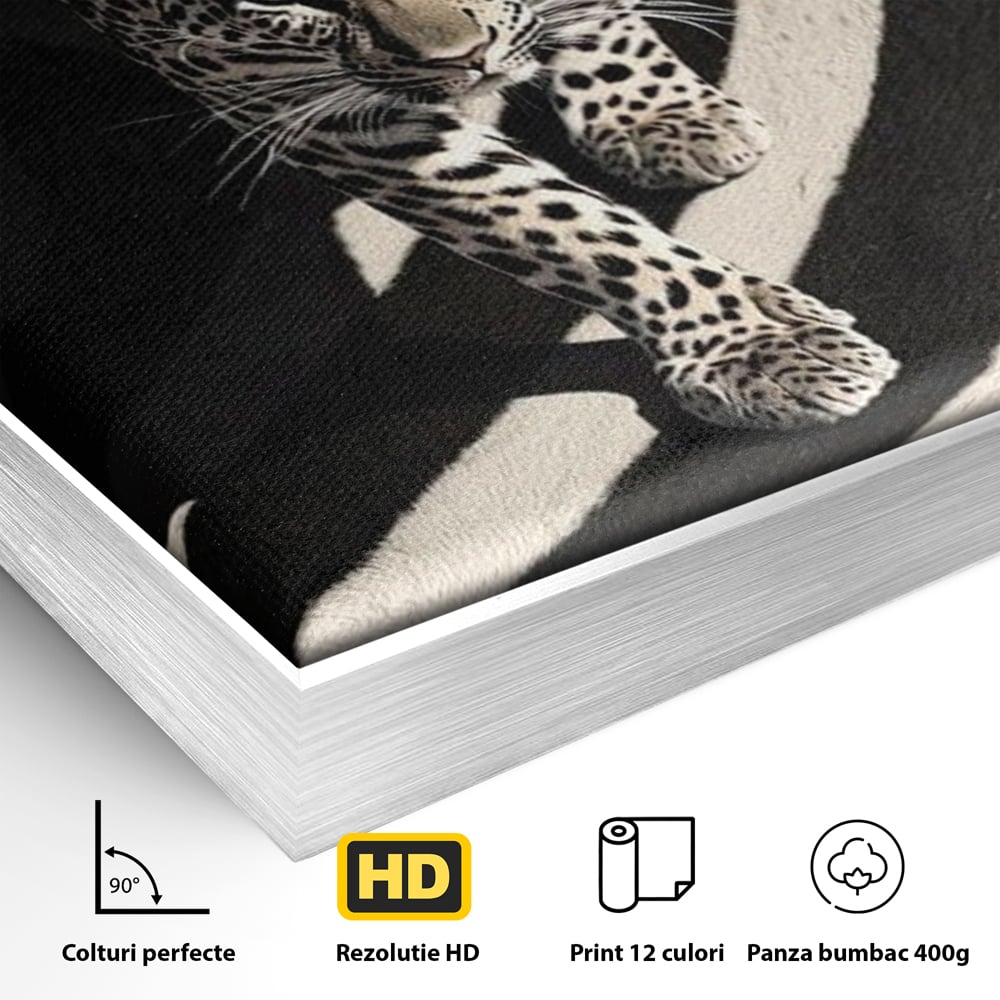 Detaliu al suprafetei: tablou canvas cu leopard pe fundal spiralat alb-negru, in rama de aluminiu argintiu