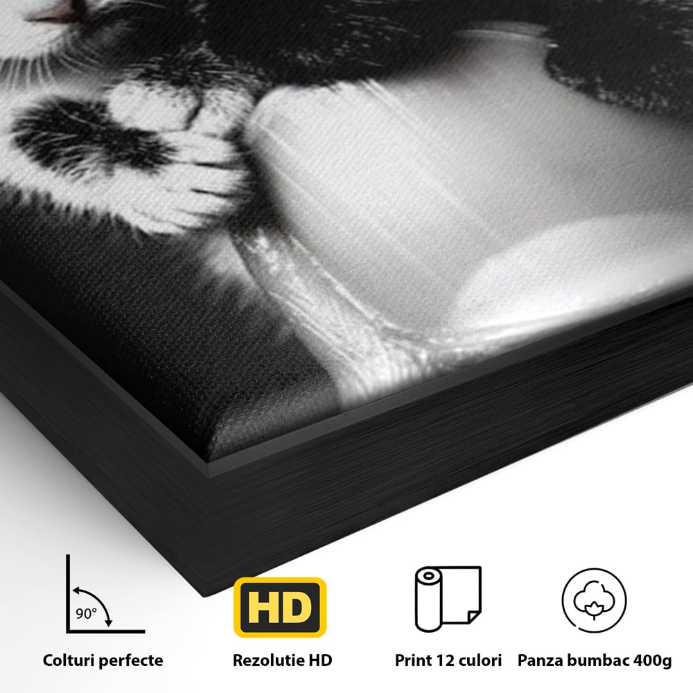 Detaliu al suprafetei: tablou canvas cu doi pisoi mici agatati de un deget, in rama de aluminiu negru