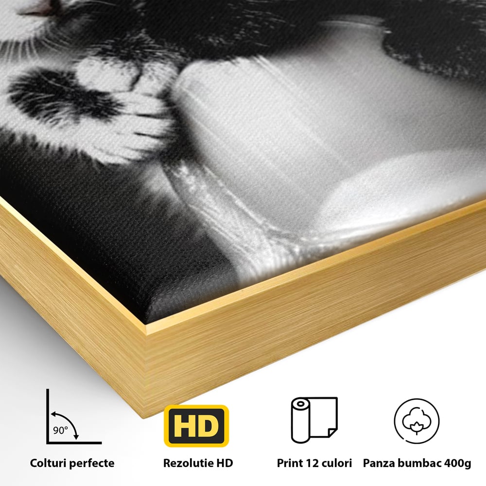 Detaliu al suprafetei: tablou canvas cu doi pisoi mici agatati de un deget, in rama de aluminiu auriu