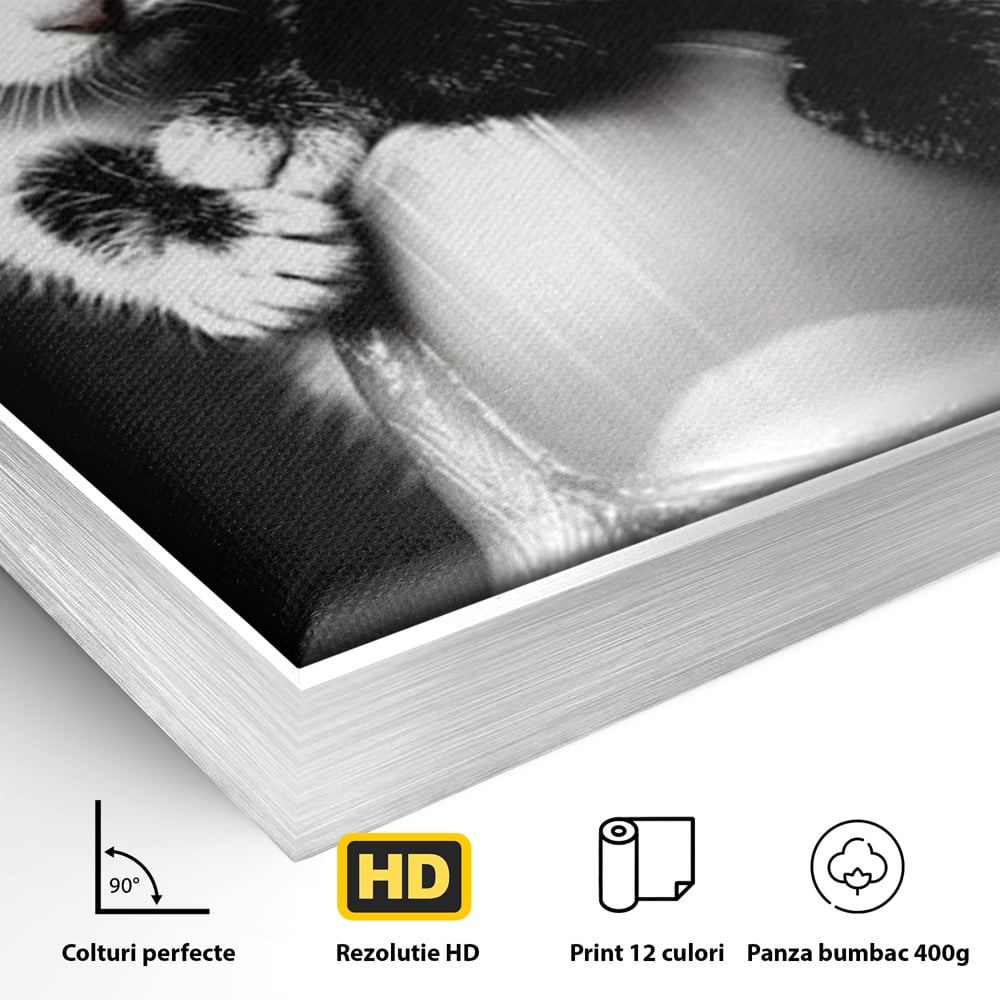 Detaliu al suprafetei: tablou canvas cu doi pisoi mici agatati de un deget, in rama de aluminiu argintiu