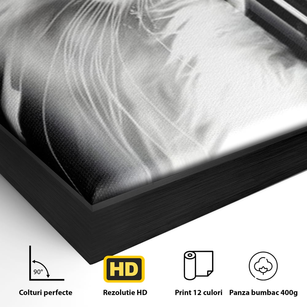 Detaliu al suprafetei: tablou canvas cu pisica alba si ochi albastri, in rama de aluminiu negru