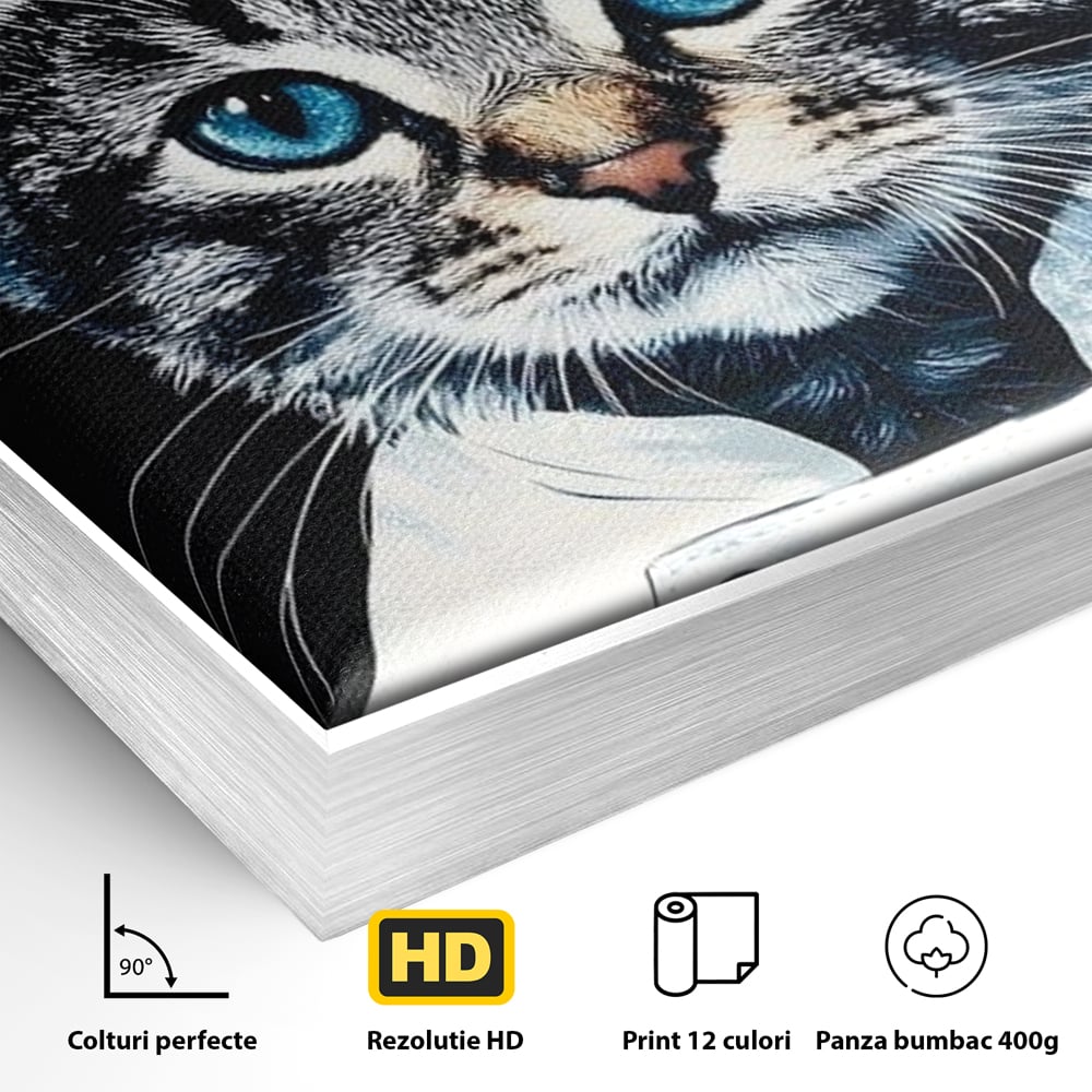 Detaliu al suprafetei: tablou canvas cu pisica bucatar, in rama de aluminiu argintiu