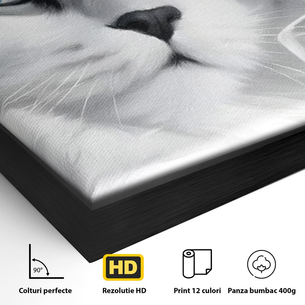 Detaliu al suprafetei: tablou canvas cu pisica aristocrata si palarie, in rama de aluminiu negru