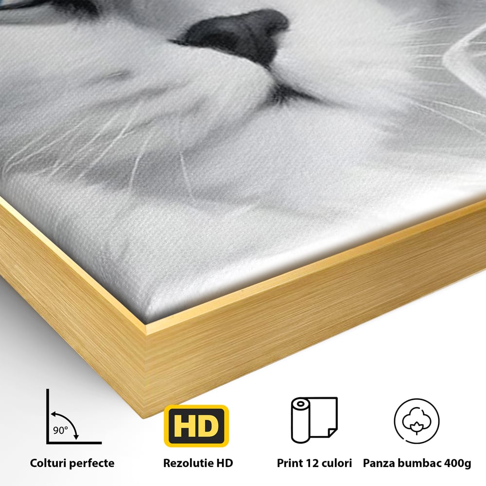 Detaliu al suprafetei: tablou canvas cu pisica aristocrata si palarie, in rama de aluminiu auriu