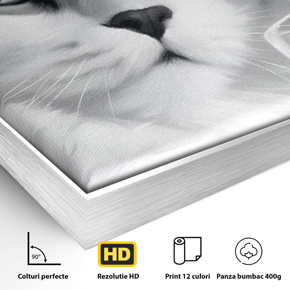Detaliu al suprafetei: tablou canvas cu pisica aristocrata si palarie, in rama de aluminiu argintiu